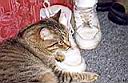 2004-11-16 215052.jpg